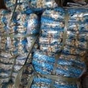 Bestone- Kacang Atom Putri Panda isi 40pc/bal