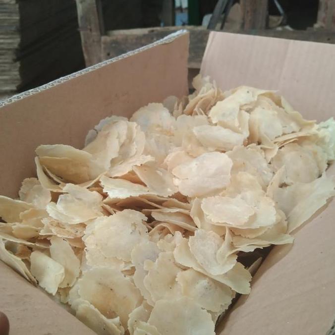 ISMAHAN_SELLER - EMPING MELINJO 5KG LIMPUNG/EMPING MELINJO MENTAH /EMPING 1DUS