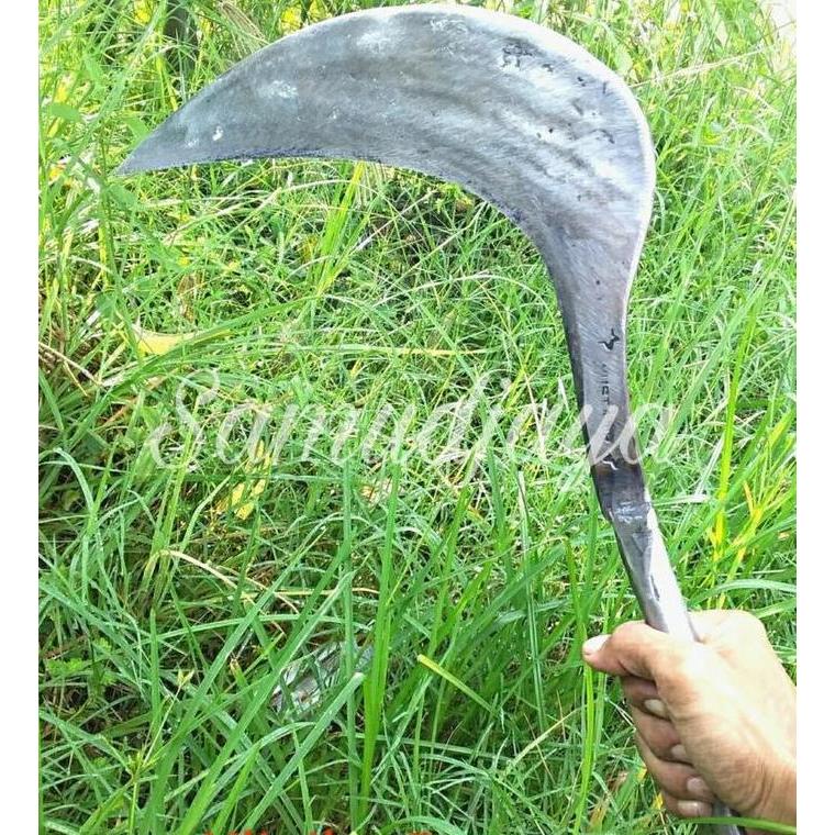 Arit rumput/sabit baja/babat alang alang [terbaik]