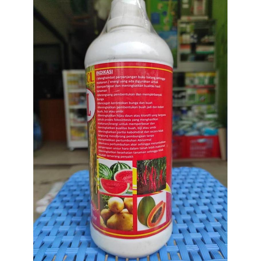 Pupuk Kcl Cair Booster Kalium Umbi Dan Buah Bola Kcl 1 Liter Pupuk Semprot Kocor