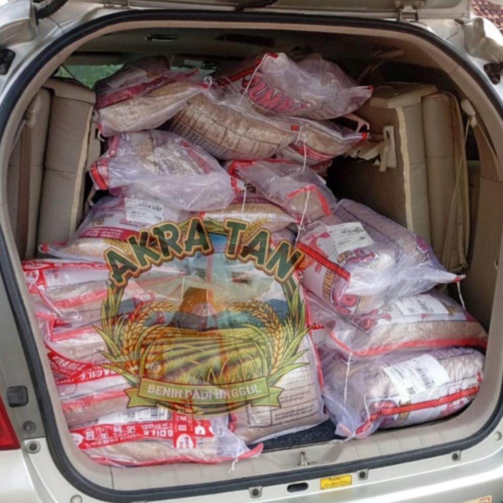 Bisa Cod Bibit Benih Padi Inpari 32 Pd Jumbo Cap Kerbau Mas >>