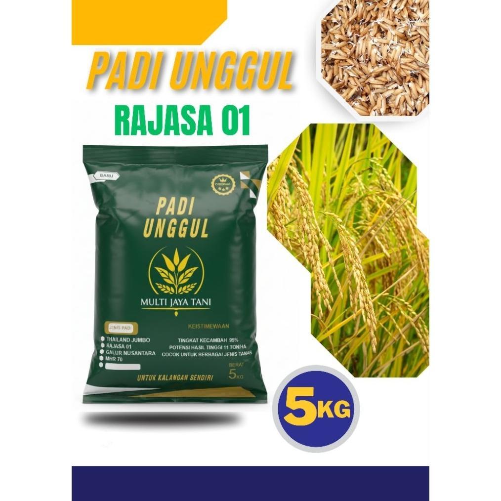 Bisa Cod Bibit Padi Rajasa 01 Kemasan 5Kg,, Padi 1000 Bulir >>