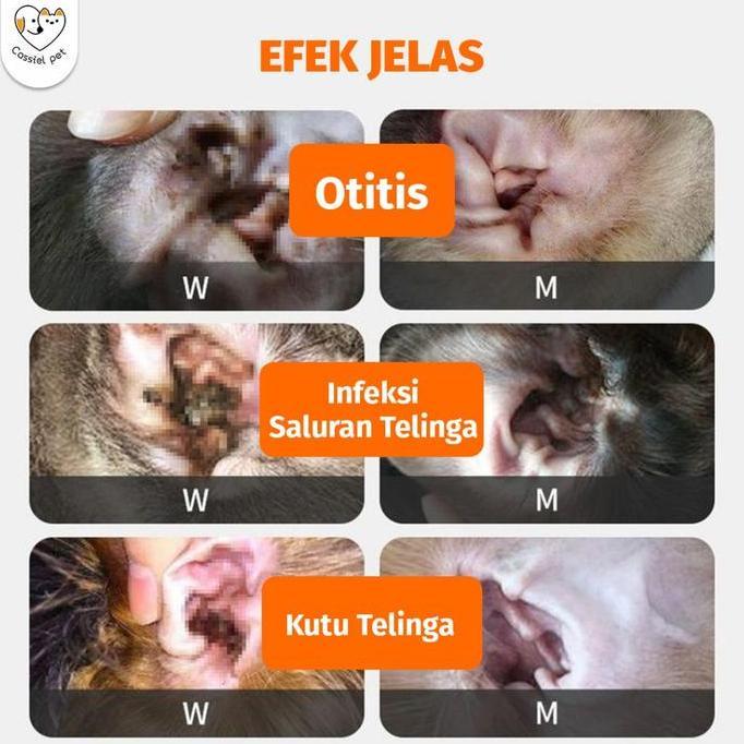 Grosir Cassiel Pet Obat Tetes Telinga Kucing Anti Peradangan Saluran Telinga Anti Earmites Conge Gat