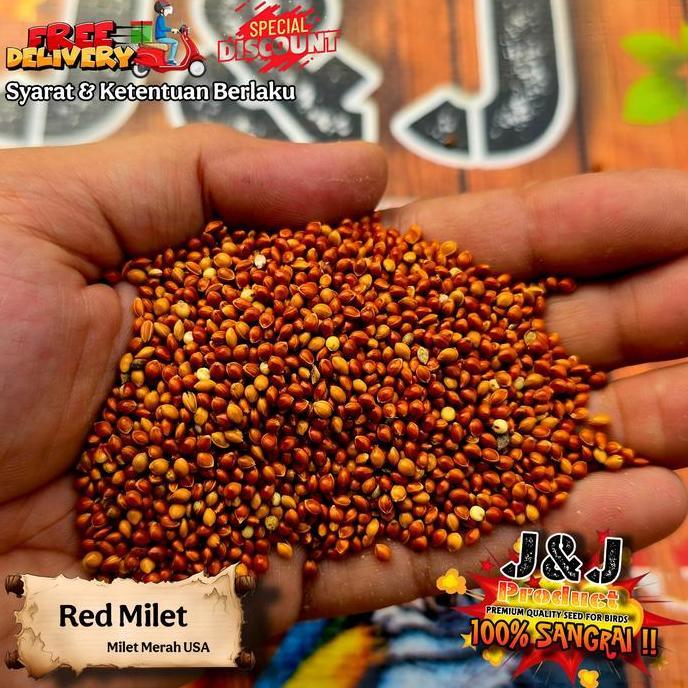 Milet Premium bijian sangrai milet putih milet cream milet hitam