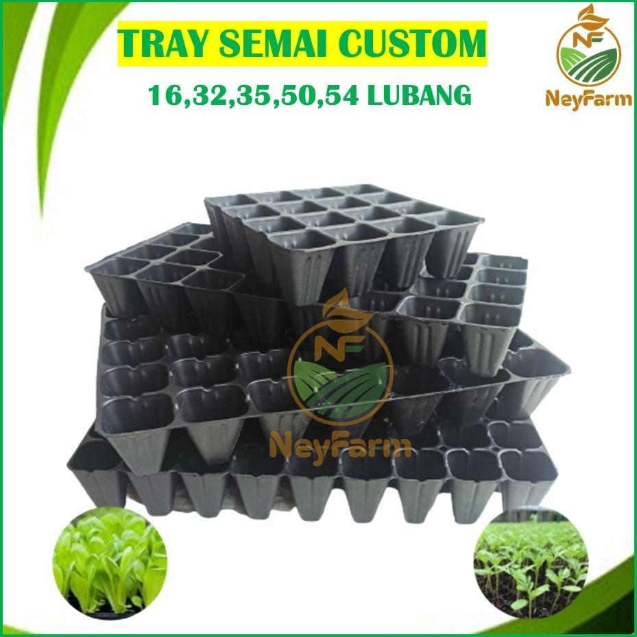 Bisa Cod Tray Custom Potray Semai Wadah Semai Skala Hobi - Tray Potongan ...