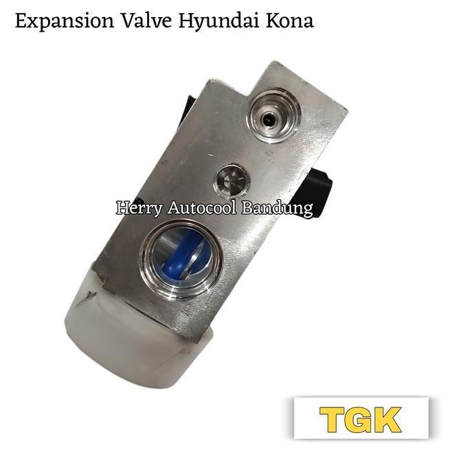 *#*#*#] Expansion Valve Ac Mobil Hyundai Kona