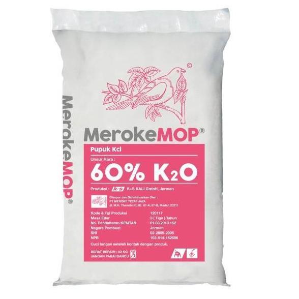 '+'+'+'+] Pupuk KCL Meroke MOP 50kg MerokeMOP 1 Zak Karung 50 Kg Tanaman Buah