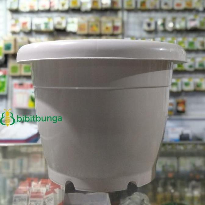 hanya disini] Pot Bunga Vinca 35 cm 35cm Putih Tanaman Hias Bunga Plastik Ukuran Besar