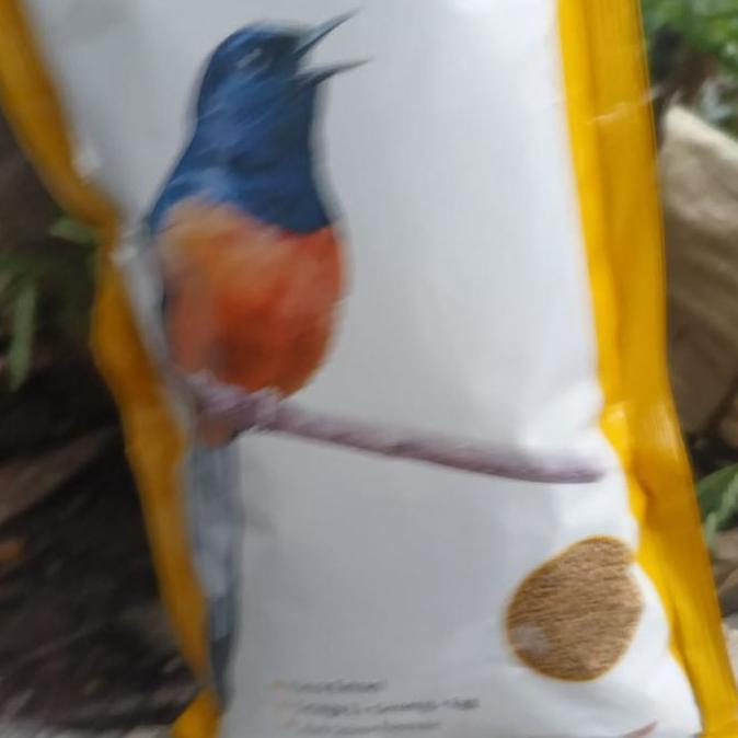 Tqs Voer Gold Coin Seaweed  Cokelat Voer Pakan Burung Murai Batu Kacer Cendet