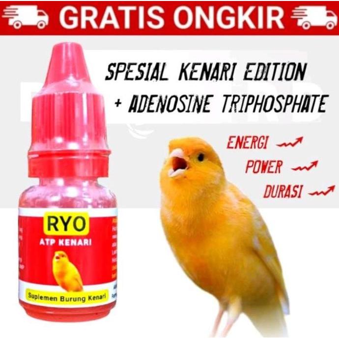 Tqs Atp Kenari Vitamin Atp Kenari Penggacor Burung Kenari Blackthroat Sanger Finch