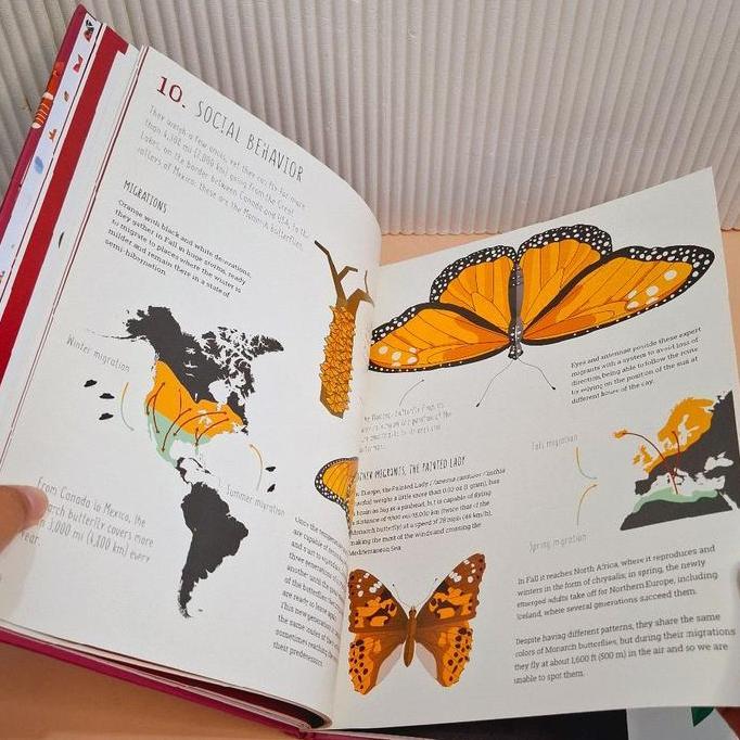 BIG BAD WOLF BOOKS THE WORLD OF BUTTERFLIES - REFERENCE BBW IMPORT