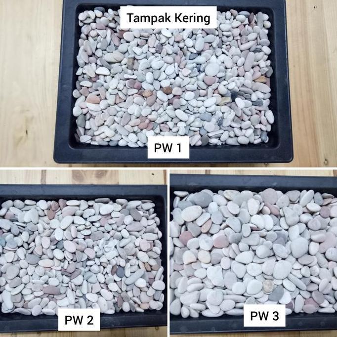 Gardenfil Batu Panca Warna (Batu Alam Koral Sikat Mix Carport Lantai Garasi Hias Taman)