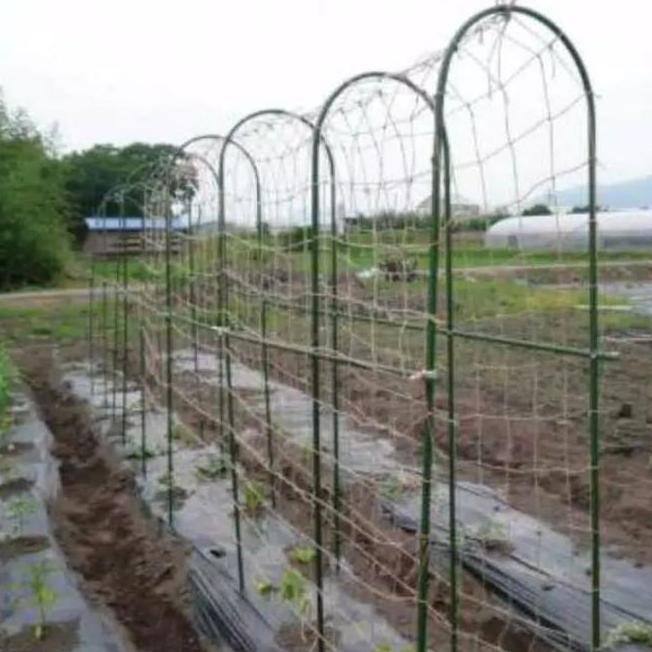 Thebest- Ajir lengkung 11x120cm