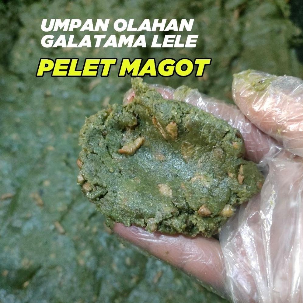 Xkxp- Umpan Galatama Lele Siap Pakai Pelet Magot | Umpan Galatama Pelet Magot