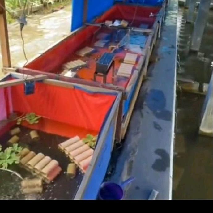 Kolam terpal kolam ikan lele jumbo tebal A12 SNI 300x200x100 400x200x100