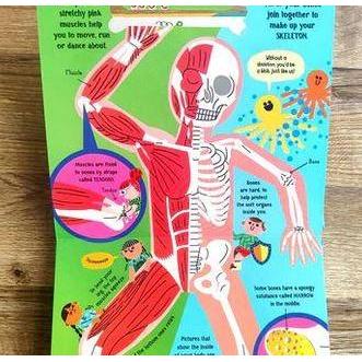 Step Inside Your Body / Human Body