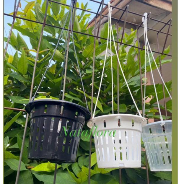 Promo Cod Ya Kak Pot Anggrek Gantung Netpot 15 Dan 17 Hitam Putih Bening Pot Nkt Netpot Gantung (Ter