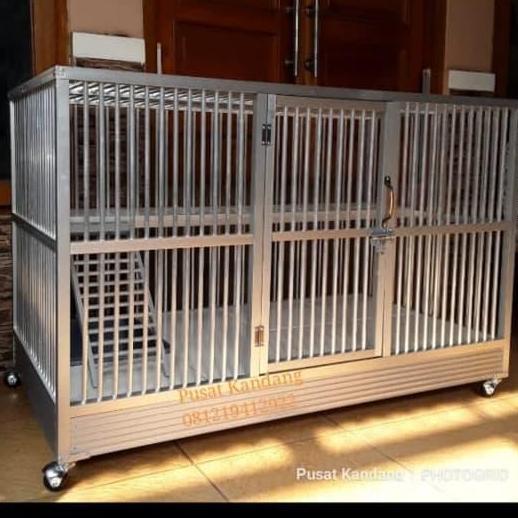 Kandang kucing kamar luas