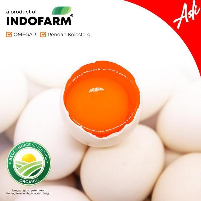 INDOFARM Telur Ayam Kampung Asli Omega 20 Butir