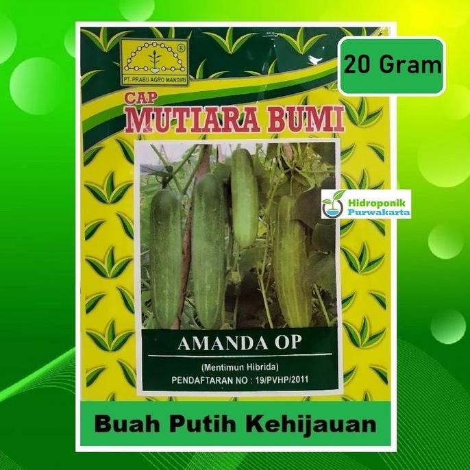 Ground- Benih Timun Mentimun Ketimun Amanda Cap Mutiara Bumi Tipe Putih Kehijauan Isi 20 Gram