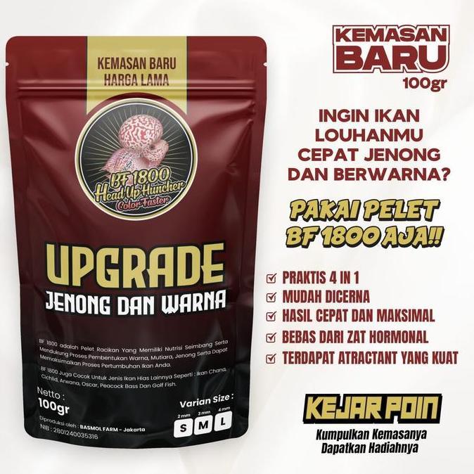 Fishbou- Pelet Pakan Louhan Bf1800 Bf 1800 Head Up Collor Faster Red Merah Top