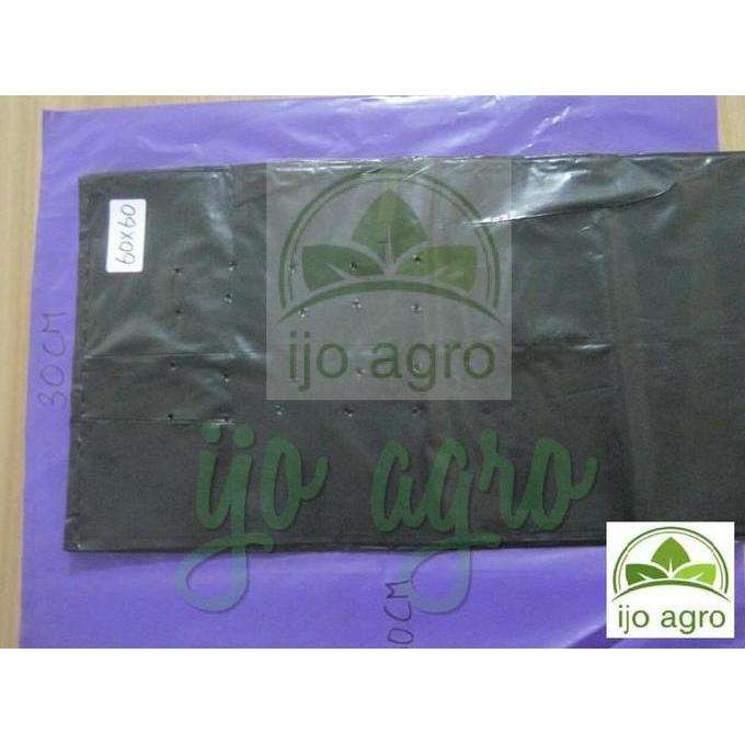 Polybag tanaman besar ukuran 60 x 60 (5 lembar)