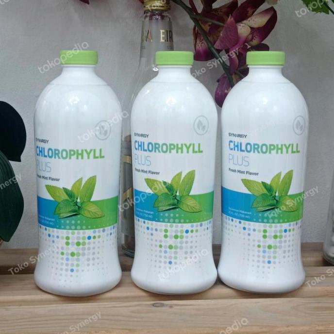 Healtiwi- Synergy Chlorophyll Plus 730 Ml Minuman Herbal Alami Dengan Rasa Mint Membantu Pembersihan