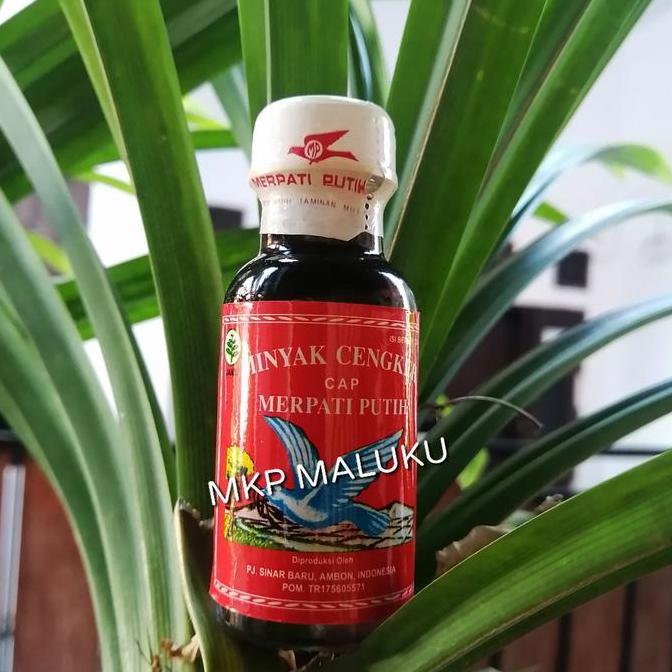 Cod,Bisa- Minyak Cengkeh 22 Ml Cap Merpati Putih (Dari Ambon)