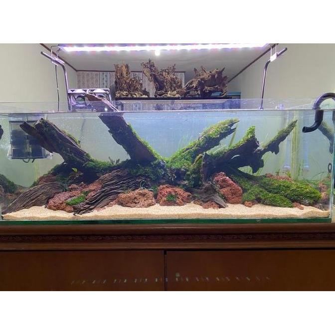 natural aquascape full set