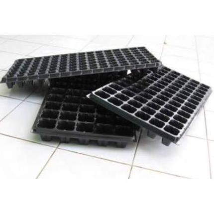 Bisa Cod Tray Semai | Tray Pot | Tempat Menyemai Benih | Seeding Hidroponik ...