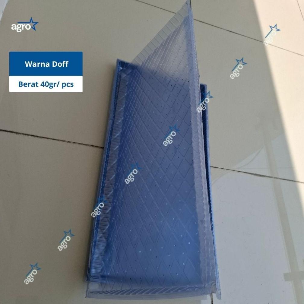 Bisa Cod [Tipe C] Tray Semai Benih Padi / Tray Padi / Tempat Semai Padi / Nampan Semai ...