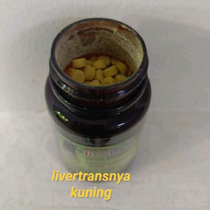 Bluee- Livertrans Topsong Liver Trans Top Song Pil Obat Burung Merpati Dara