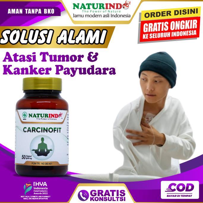 CARCINOFIT BENJOLAN PAYUDARA TUMOR PAYUDARA KANKER PAYUDARA PRIA DAN WANITA FAM HERBAL