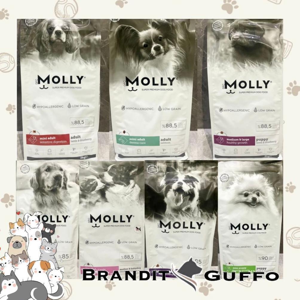 Molly dog food makanan anjing premium dog food makanan mini adult dog food dry dog food kibble dog f