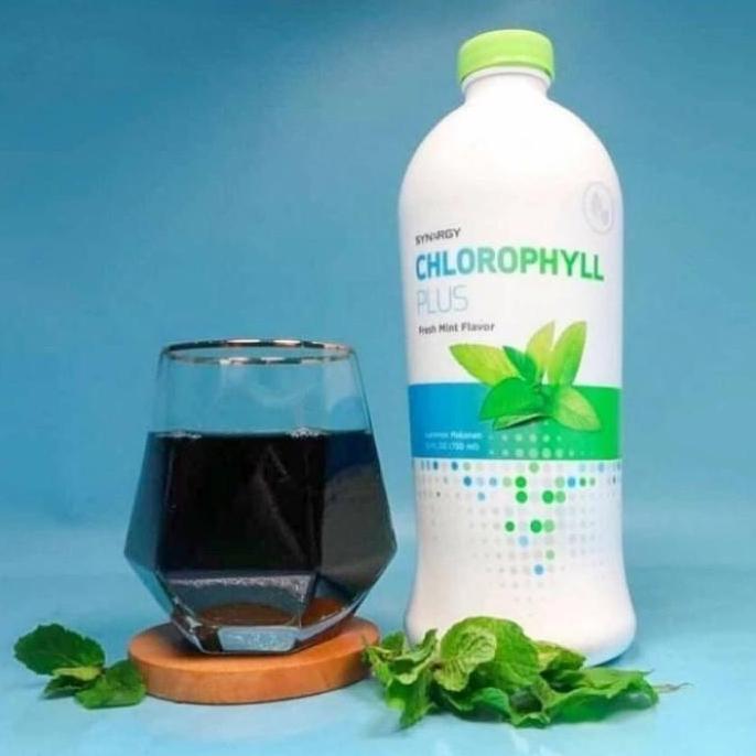 SYNERGY CHLOROPHYLL PLUS FRESH MINT 730 ML ASLI DENPASAR BALI