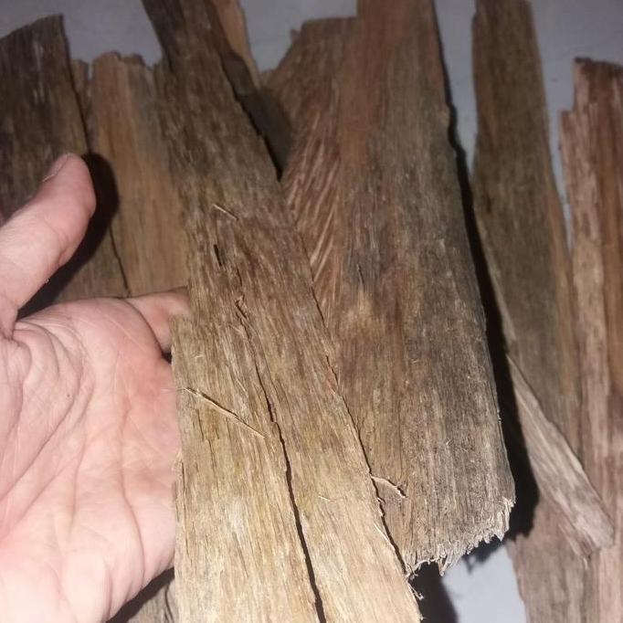 Gaharu aqualaria buat di bakar di atas arang sebagai wewangian alami