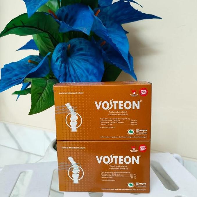vosteon tulang ( suplemen untuk tulang)