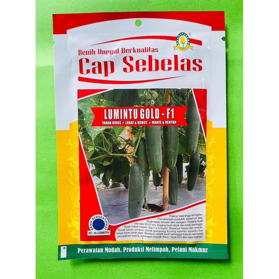 PROMO Benih Timun Ketimun Mentimun LUMINTU GOLD F1 dari Cap Sebelas terbaikk
