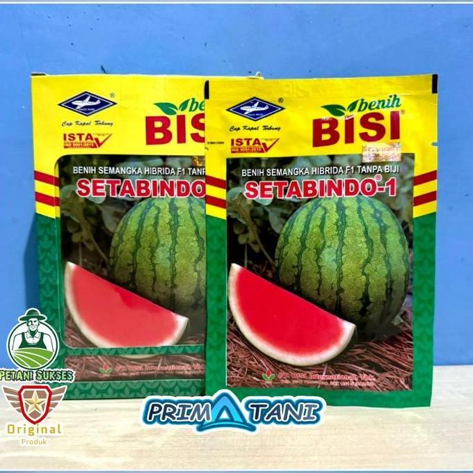 PROMO Benih Semangka Tanpa Biji SETABINDO-1 - 20gram