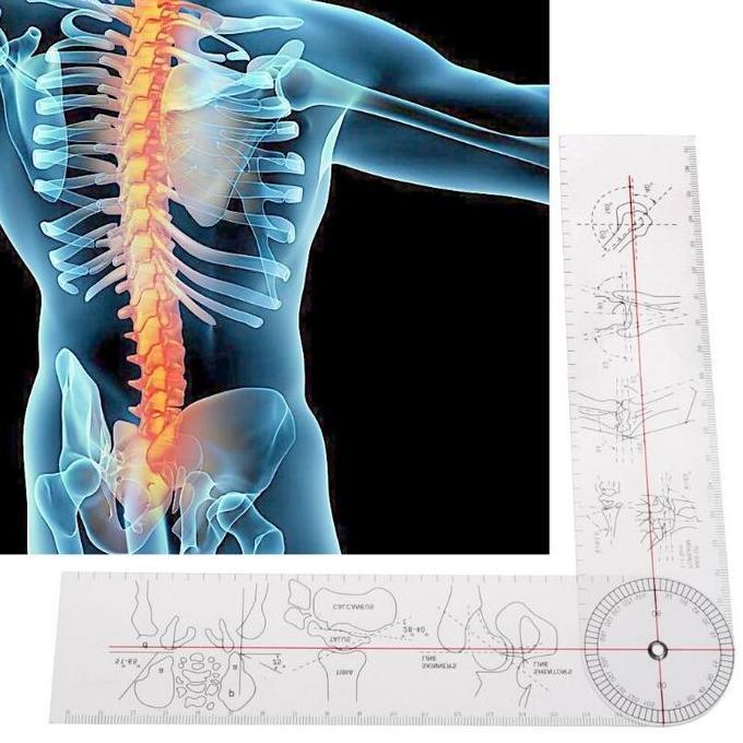 Goniometer Angle Spinal Ruler - Penggaris Goniometer