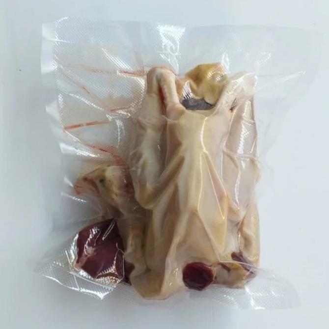 Anakan Ayam kampung Muda Asli Solo