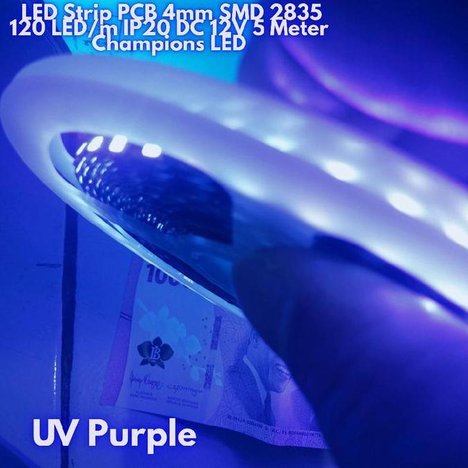 LED Strip Black PCB 4mm SMD 2835 120 LED/m IP20 DC 12V 5 Meter Champions LED