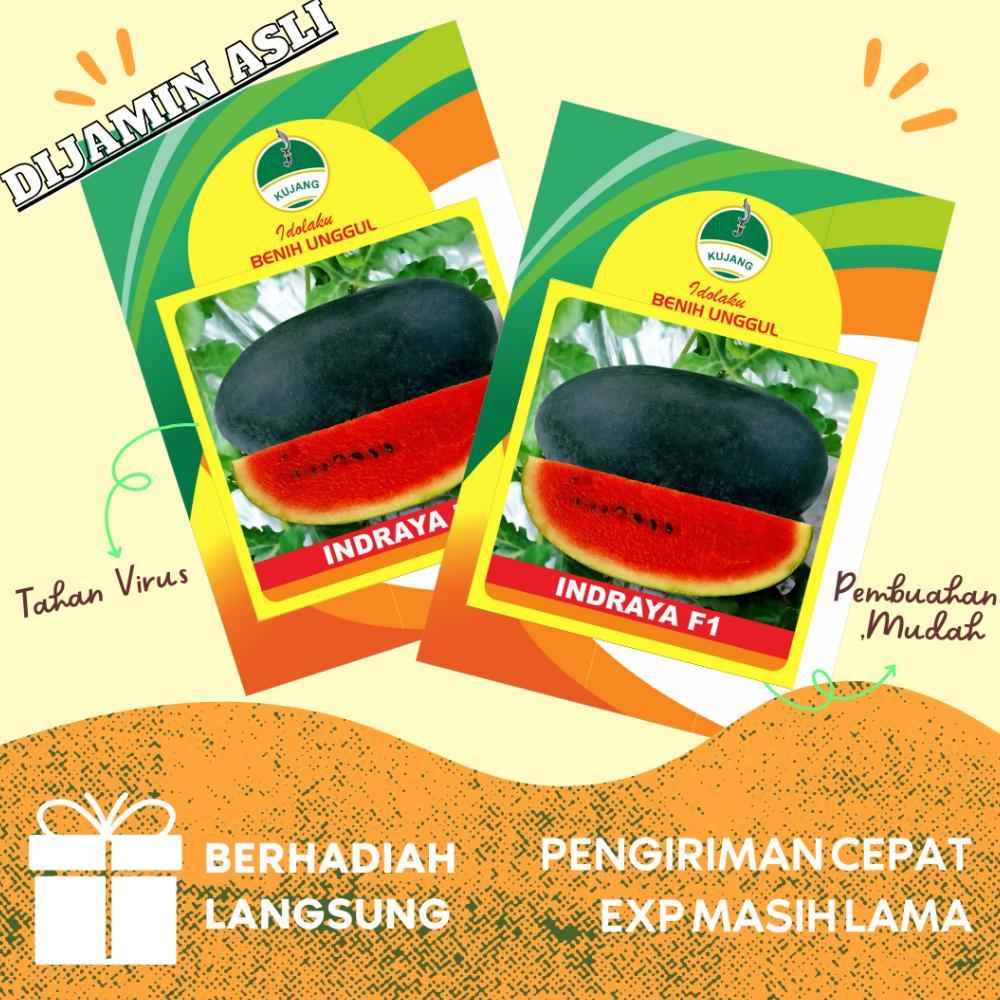 Benih semangka inul merah Indraya F1 Cap Kujang isi 75 biji