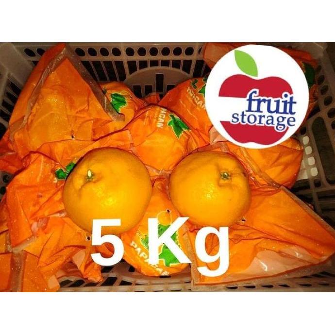 Frutexz- Jeruk Dekopon / Chunjian / Papagan Jeruk Mandarin