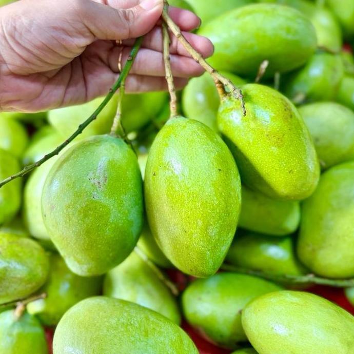 Frutexz- Mangga Muda Mentah Asam Segar