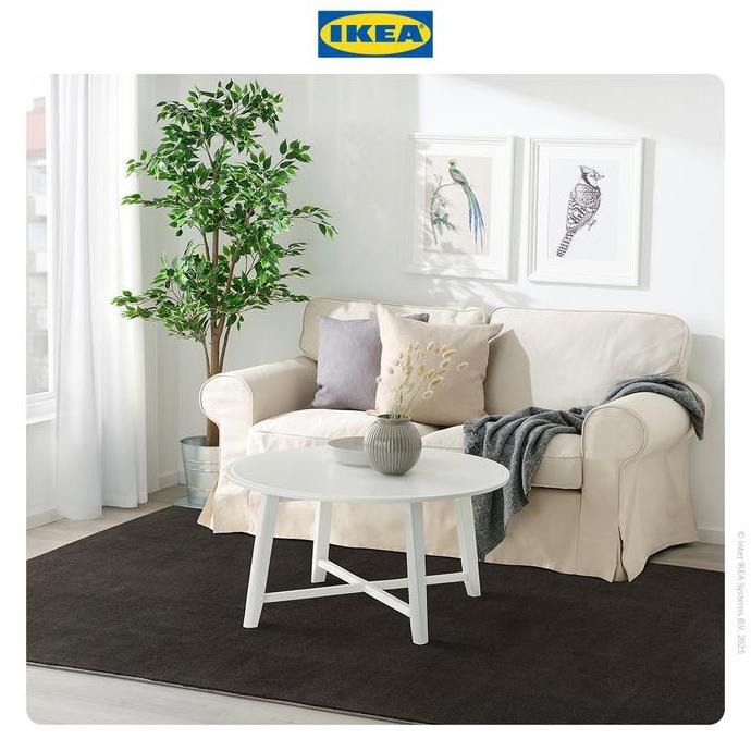 IKEA BUSSFIL Karpet Bulu Tipis Abu Tua 120x180cm Furniture Kain Karet (TERBAIK) (TERBARU) (TERMURAH)