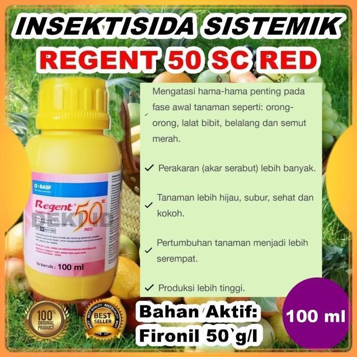 Regent 50SC Insektisida Sistemik Plus ZPT 100 ml Obat Hama Serangga