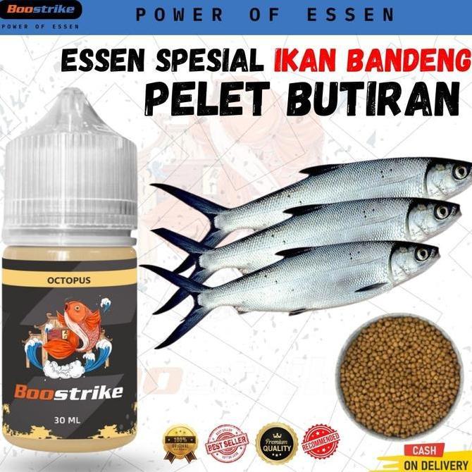 Essen Super Ikan BANDENG Tambak Campuran Umpan Mancing Untuk Target Rame & Indukan Untuk Air Payau D