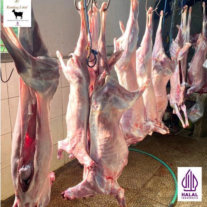 Terlaris Daging Kambing Fresh, Karkas Kambing Muda