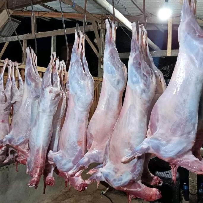 Terlaris Karkas Domba Dan Kambing Daging Muda
